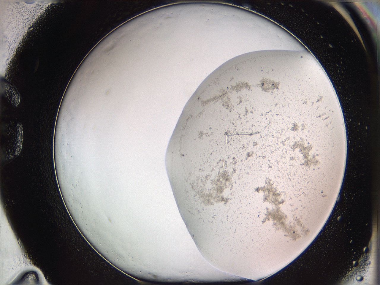 05w1_G11_ImagerDefaults_4.jpg