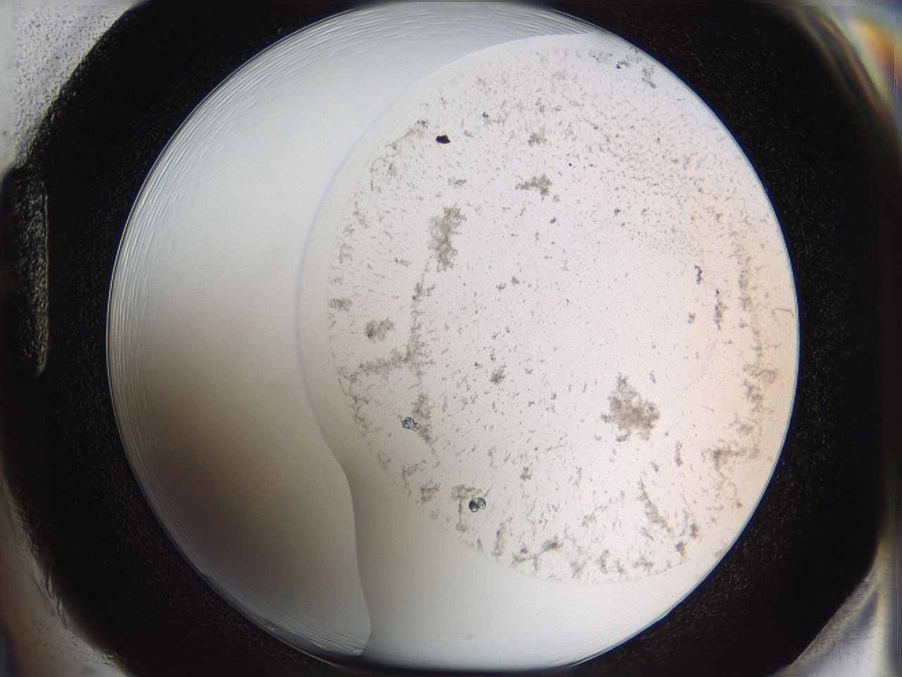 05w1_H1_ImagerDefaults_5.jpg