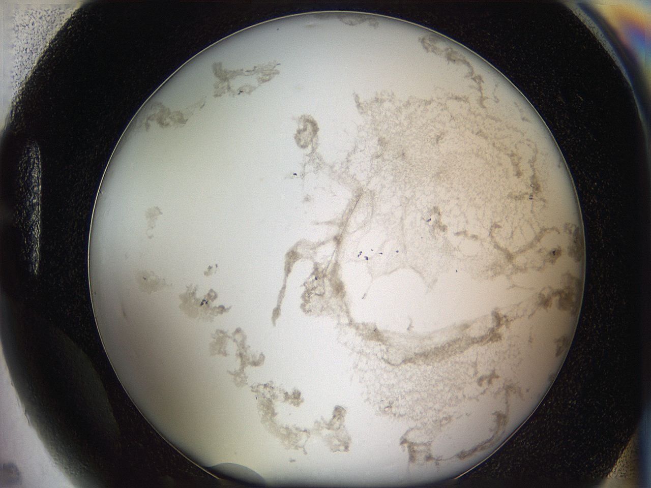 05w1_H5_ImagerDefaults_3.jpg