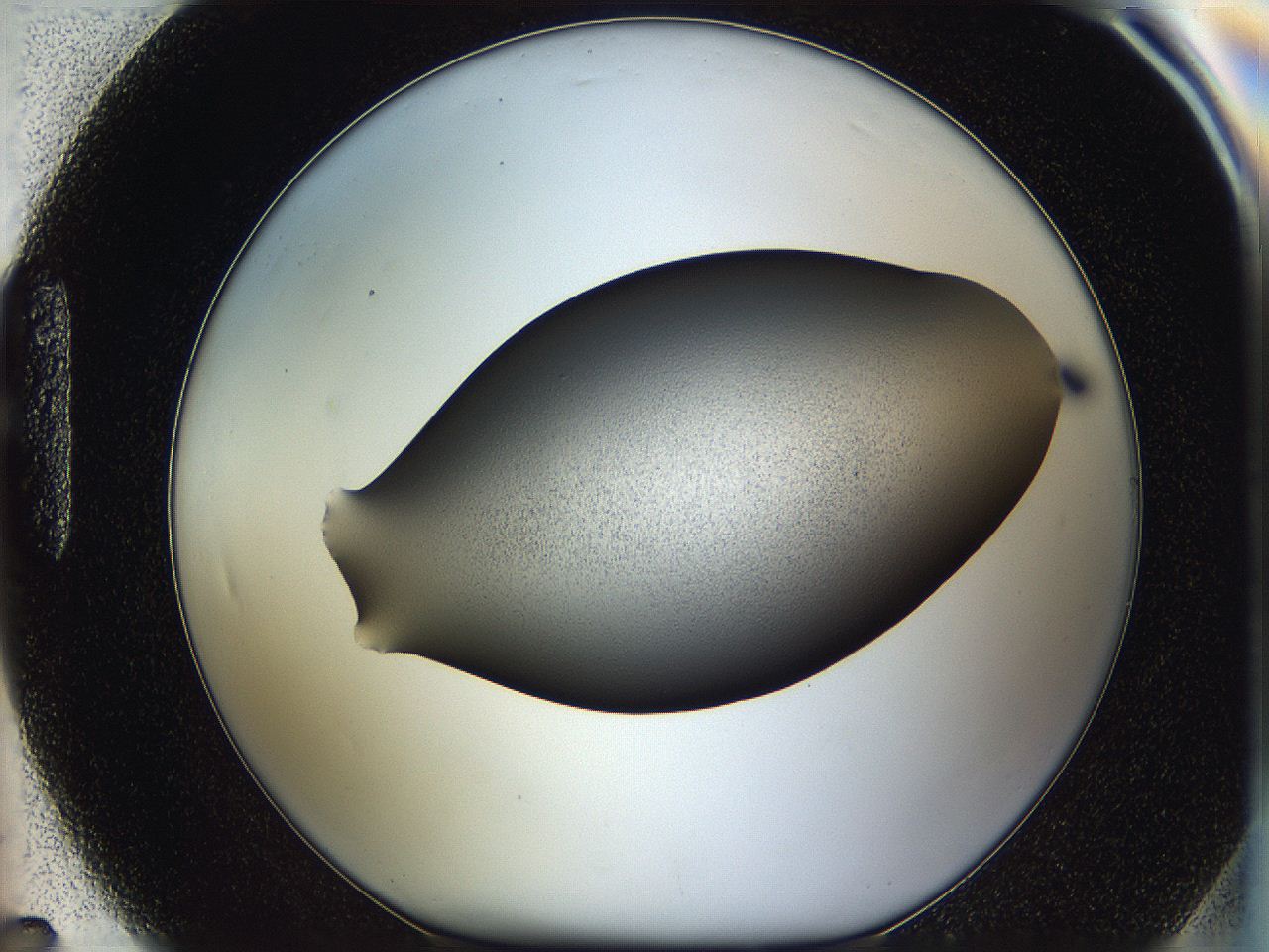 05w1_H7_ImagerDefaults_3.jpg