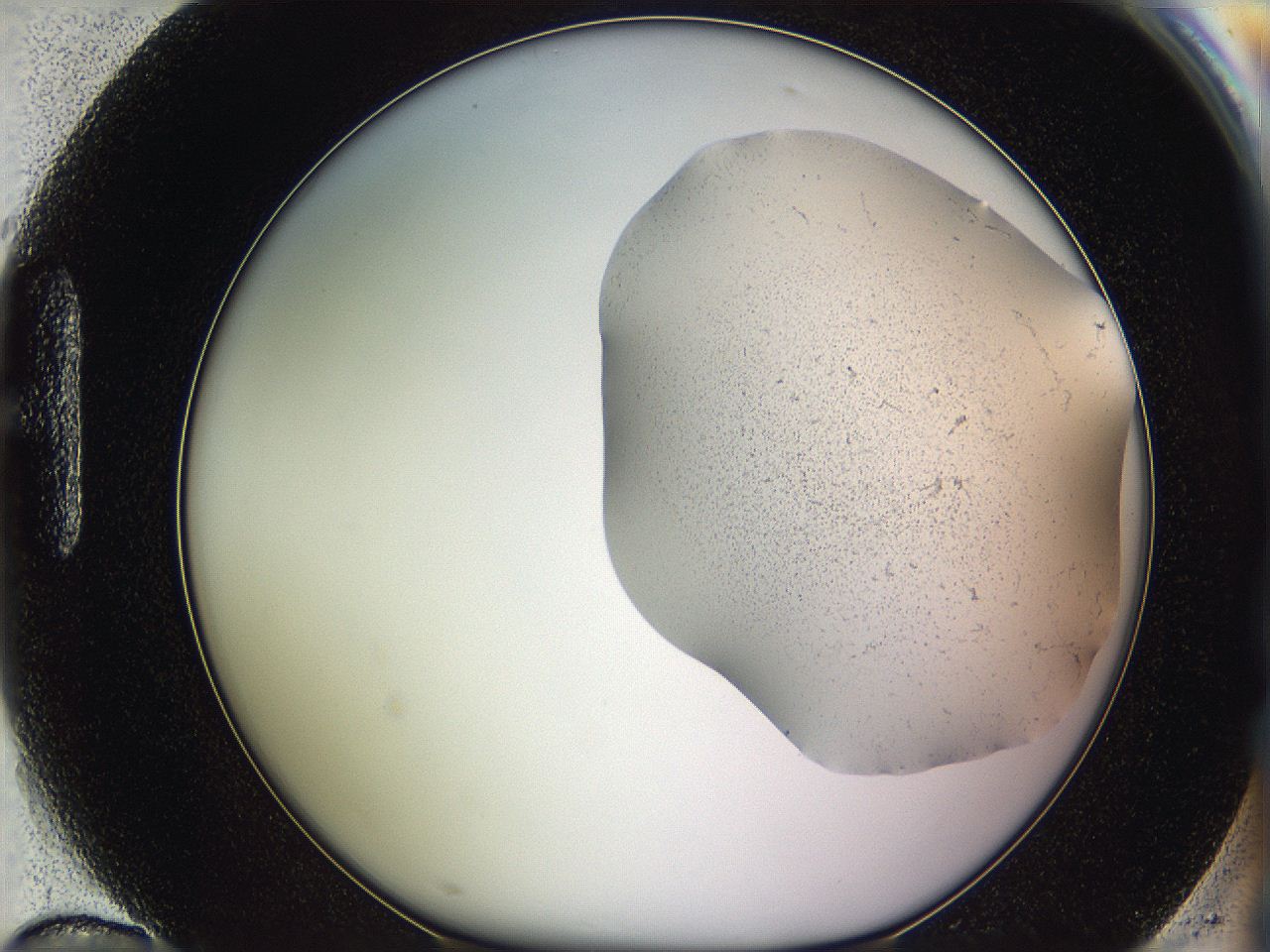 05w1_H10_ImagerDefaults_3.jpg