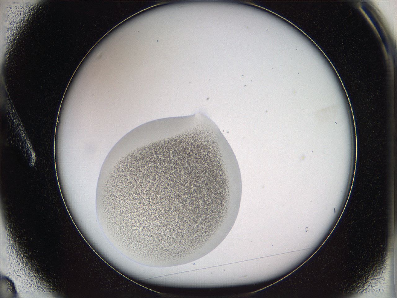 05w2_A3_ImagerDefaults_3.jpg