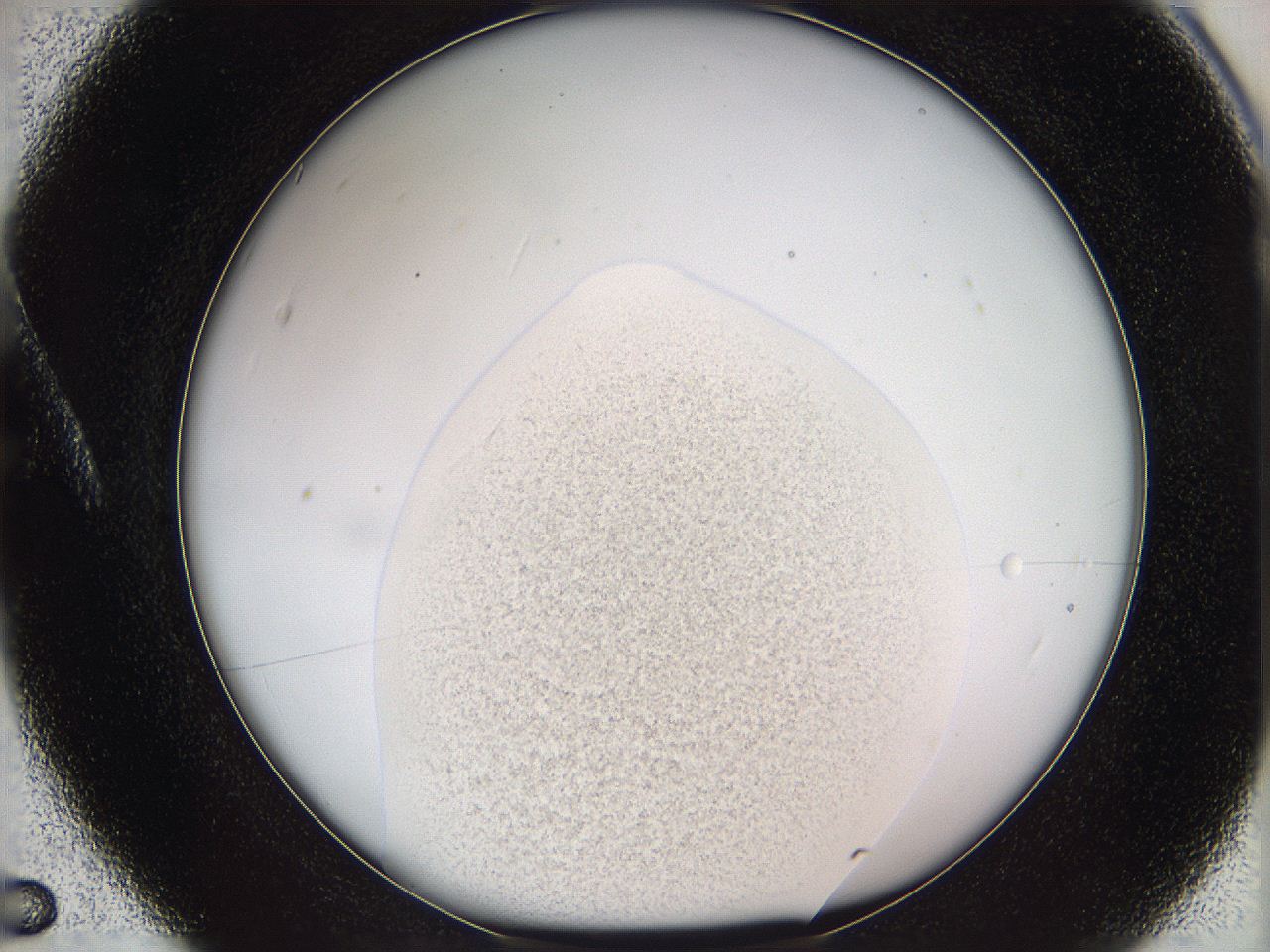 05w2_A5_ImagerDefaults_3.jpg