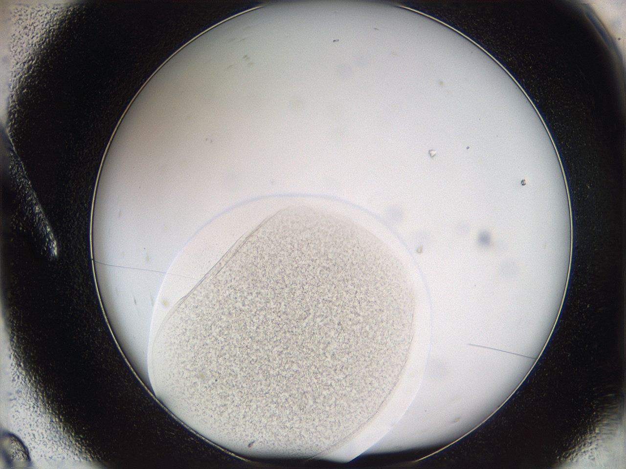 05w2_A8_ImagerDefaults_3.jpg