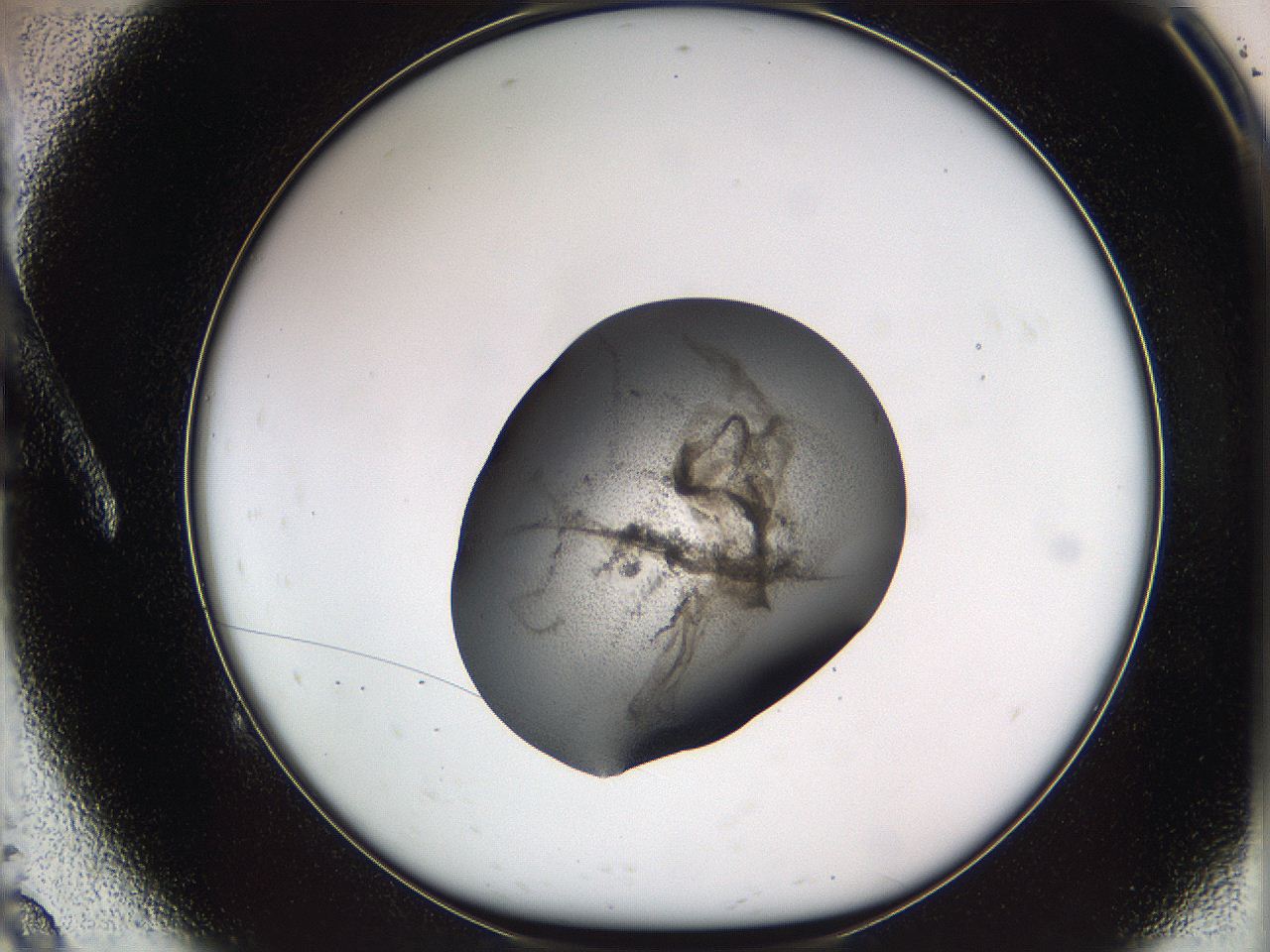 05w2_A9_ImagerDefaults_3.jpg