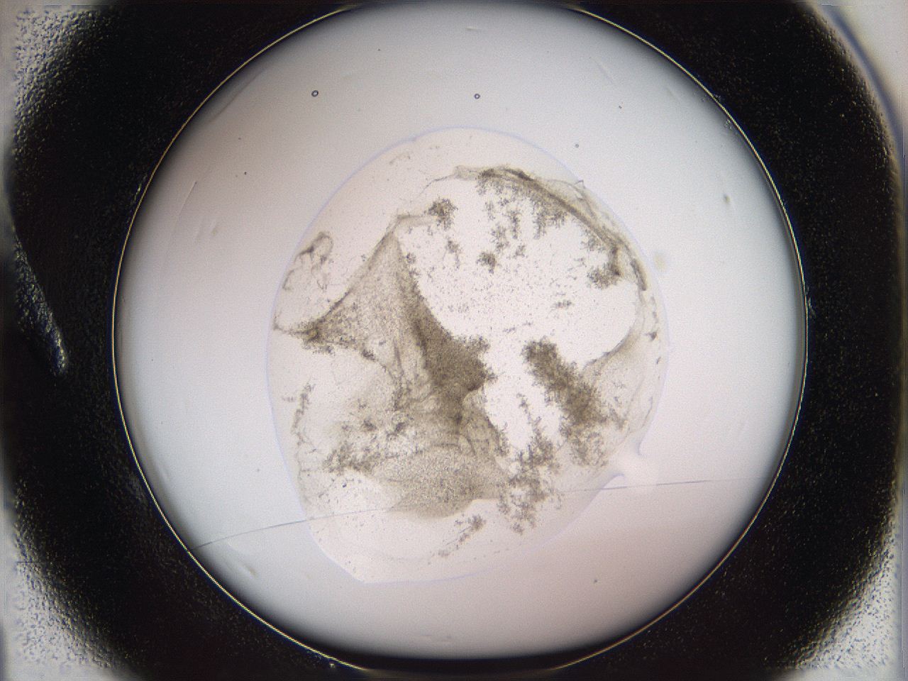05w2_A1_ImagerDefaults_3.jpg