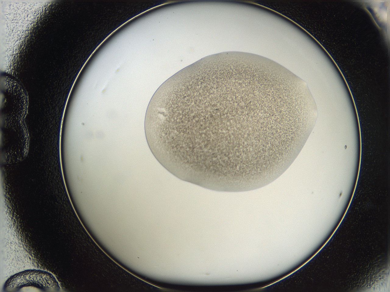 05w2_B12_ImagerDefaults_3.jpg