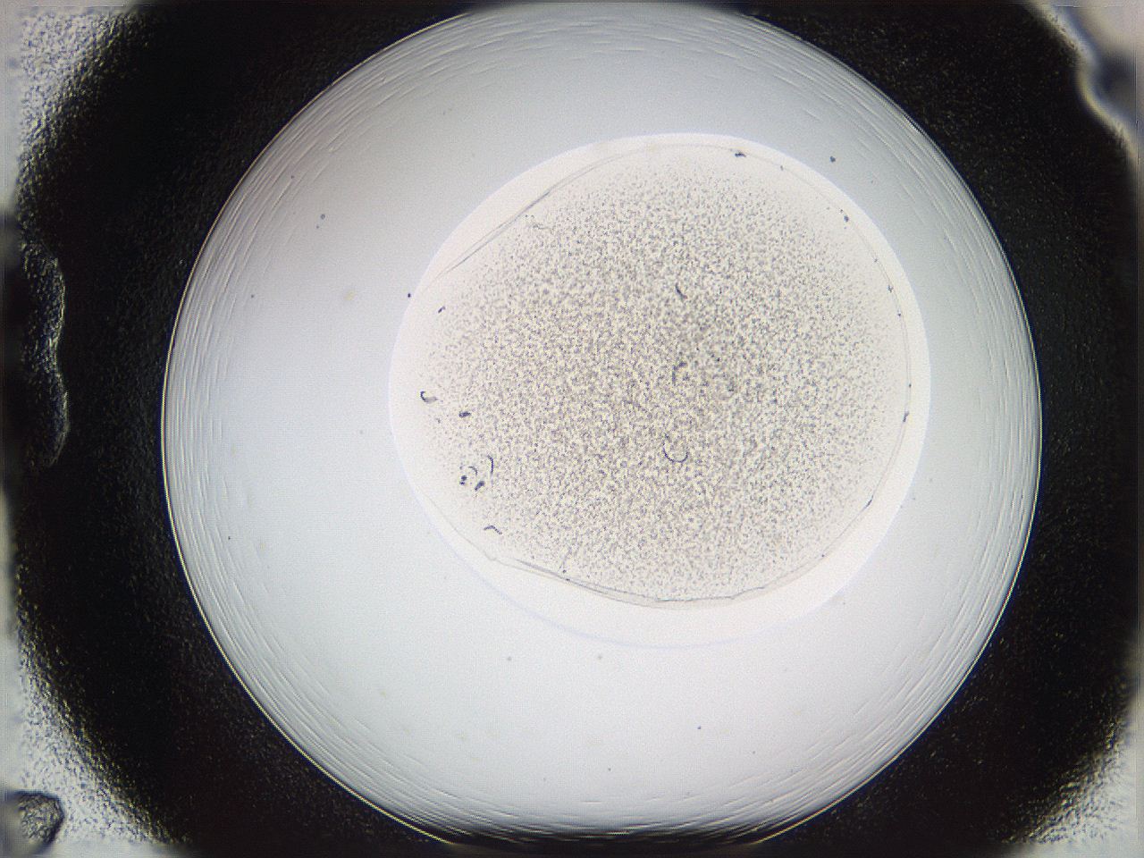 05w2_B7_ImagerDefaults_3.jpg
