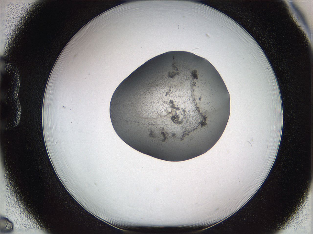 05w2_B6_ImagerDefaults_3.jpg