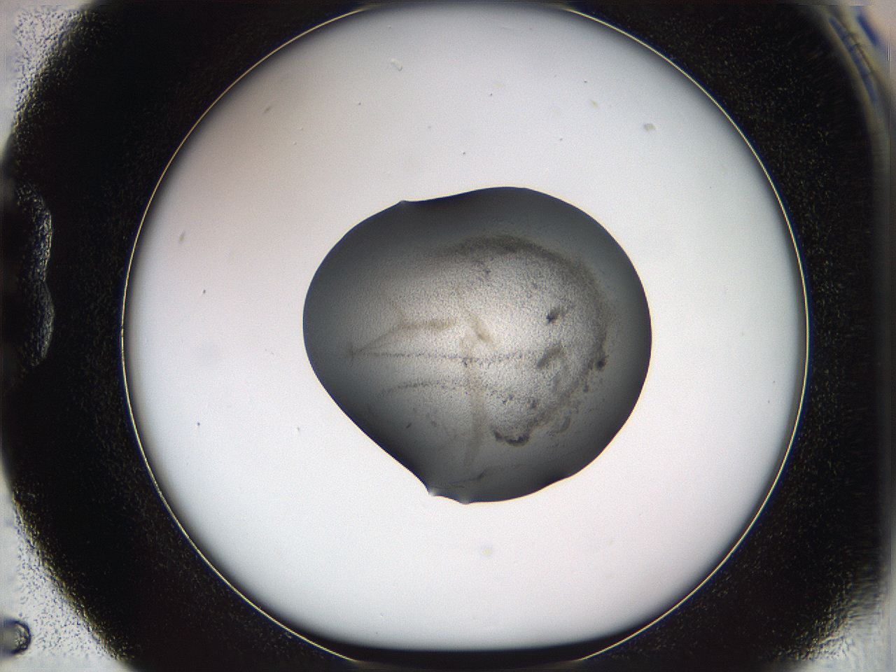 05w2_B5_ImagerDefaults_3.jpg