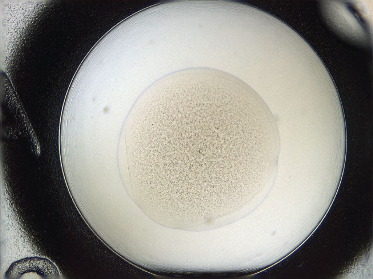 05w2_A12_ImagerDefaults_3.jpg