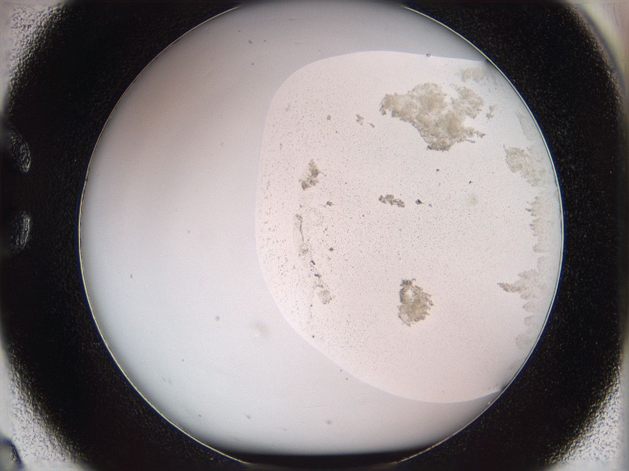 05w2_C2_ImagerDefaults_3.jpg