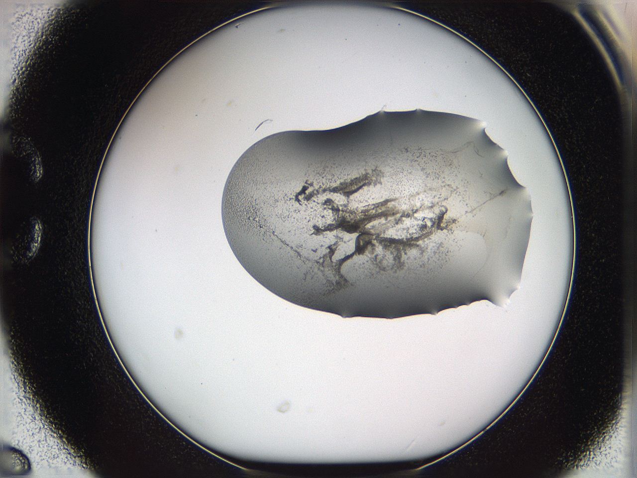 05w2_C6_ImagerDefaults_3.jpg