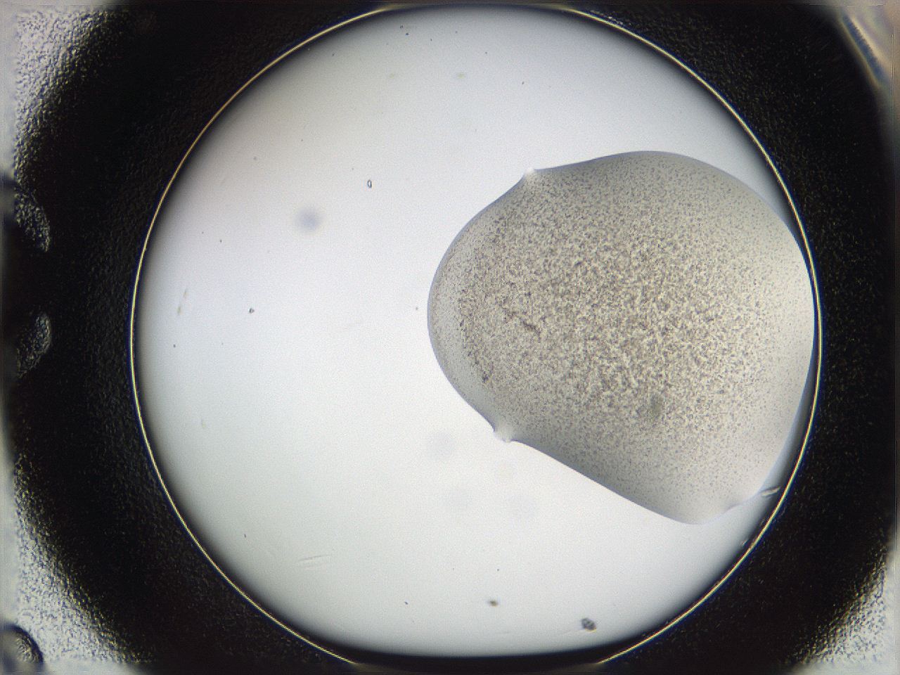 05w2_C8_ImagerDefaults_3.jpg