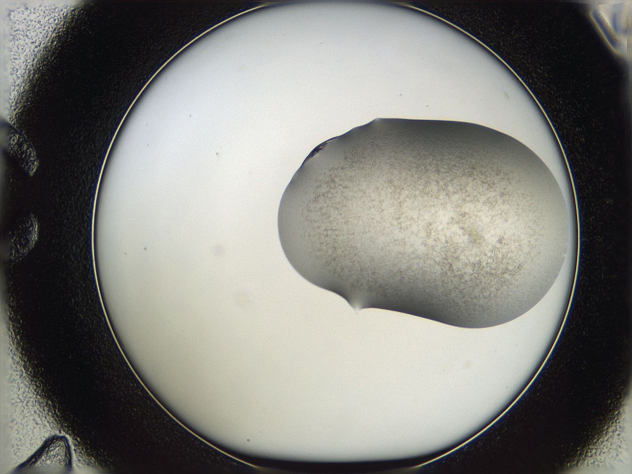 05w2_C11_ImagerDefaults_3.jpg