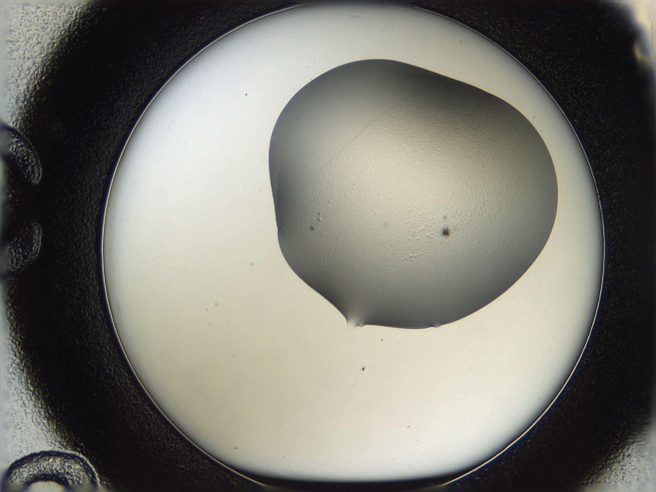 05w2_C12_ImagerDefaults_3.jpg