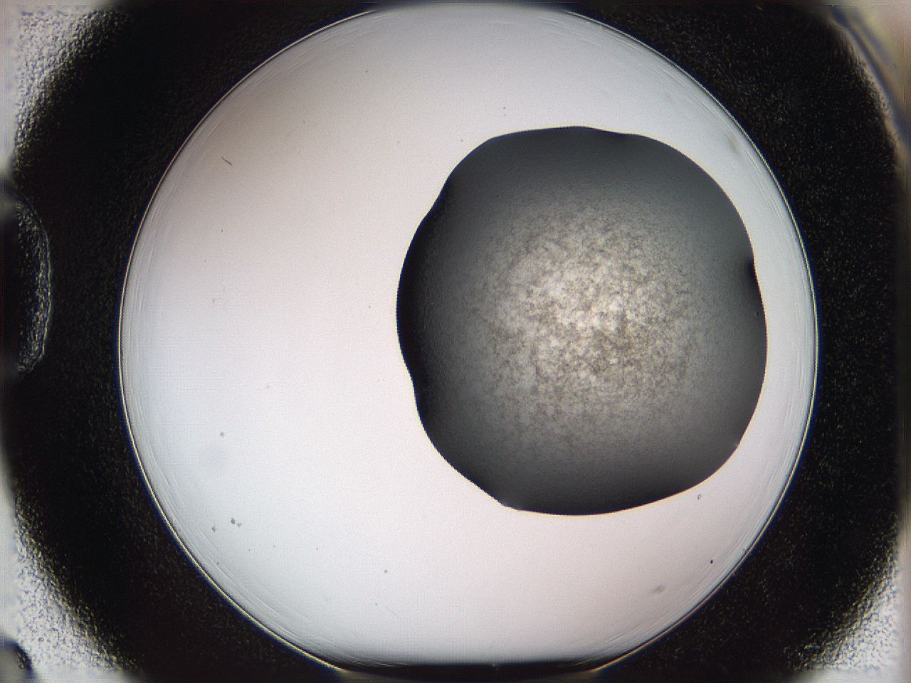 05w2_D3_ImagerDefaults_3.jpg