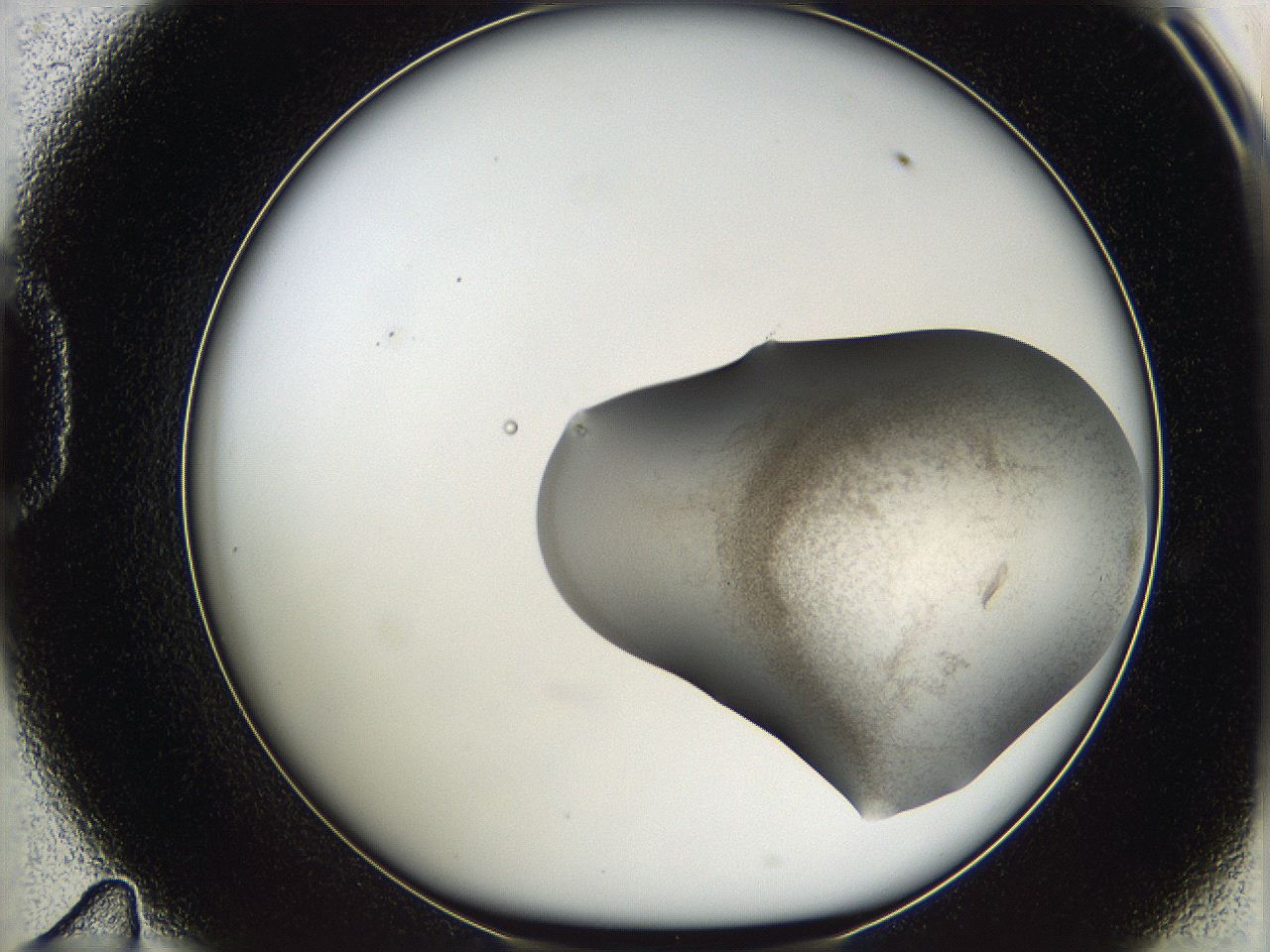 05w2_D11_ImagerDefaults_3.jpg