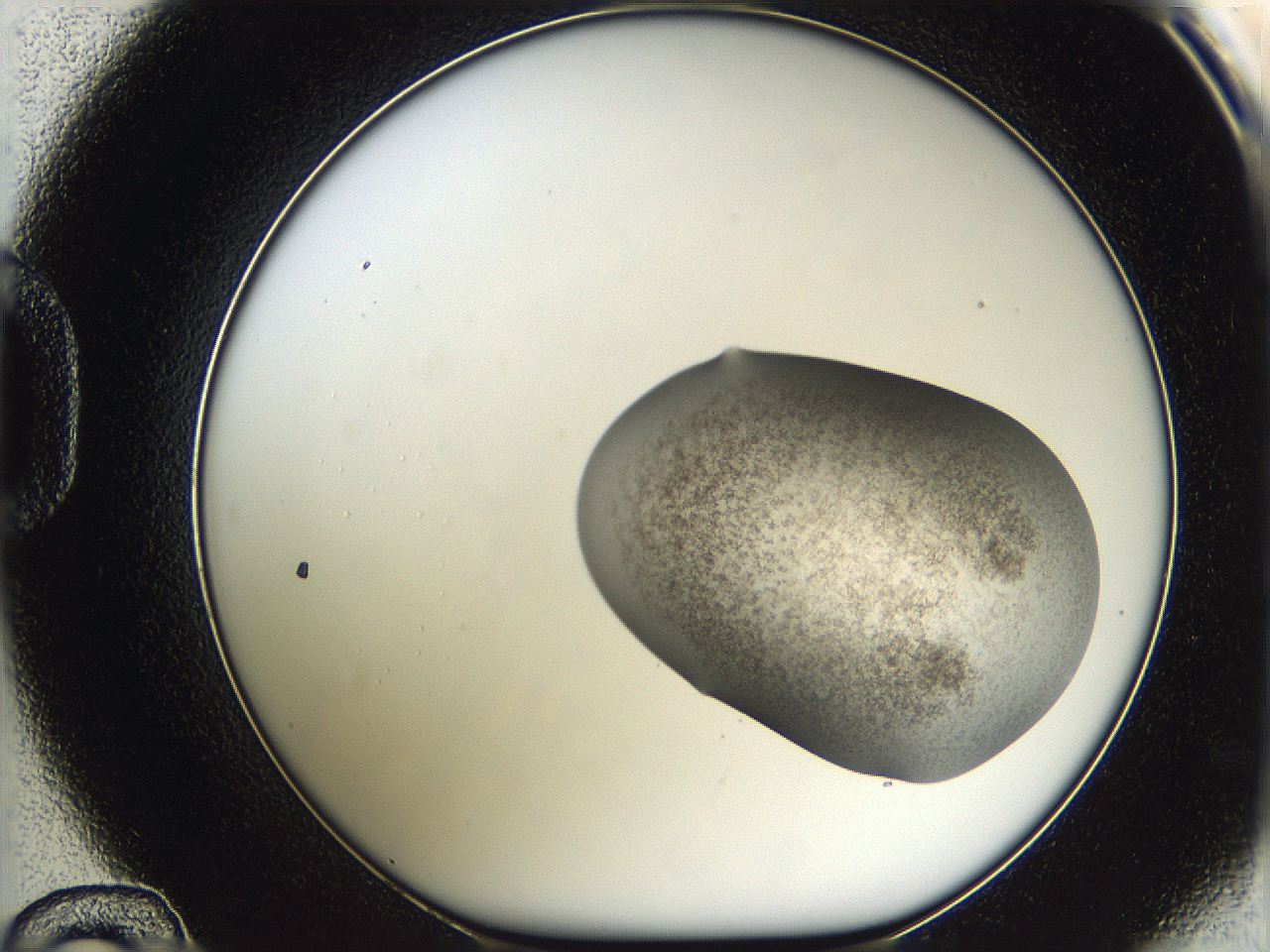 05w2_D12_ImagerDefaults_3.jpg