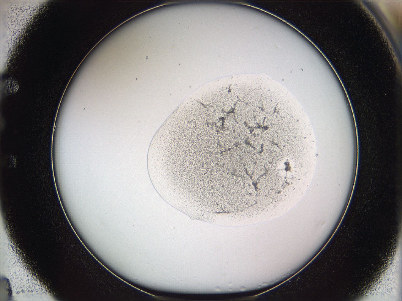 05w2_E4_ImagerDefaults_3.jpg