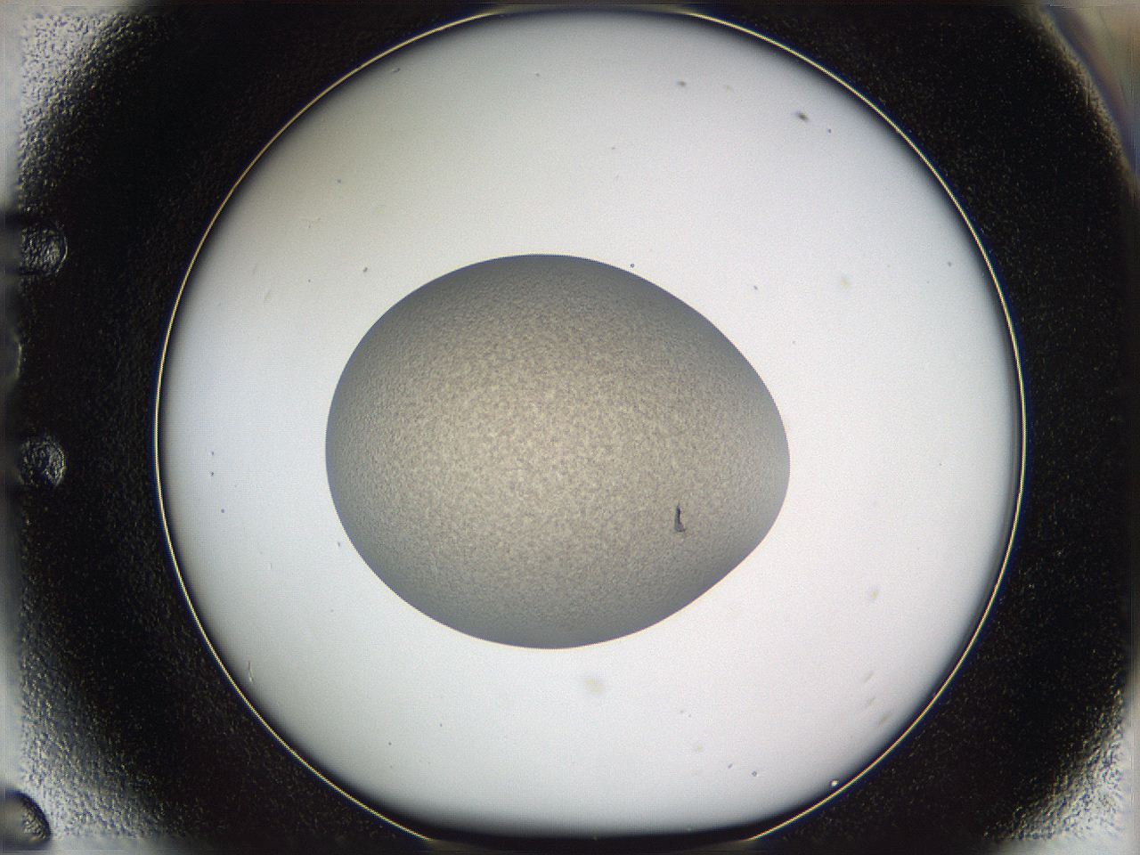05w2_E6_ImagerDefaults_3.jpg