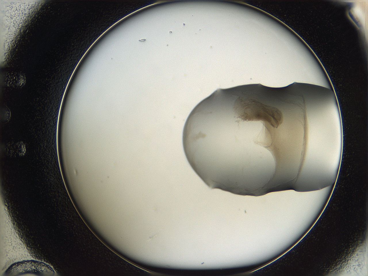 05w2_E12_ImagerDefaults_3.jpg