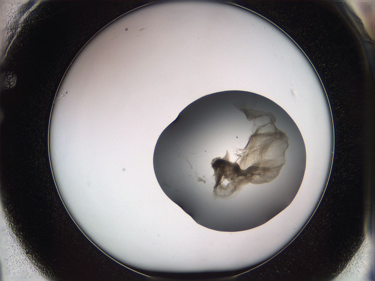 05w2_F1_ImagerDefaults_3.jpg