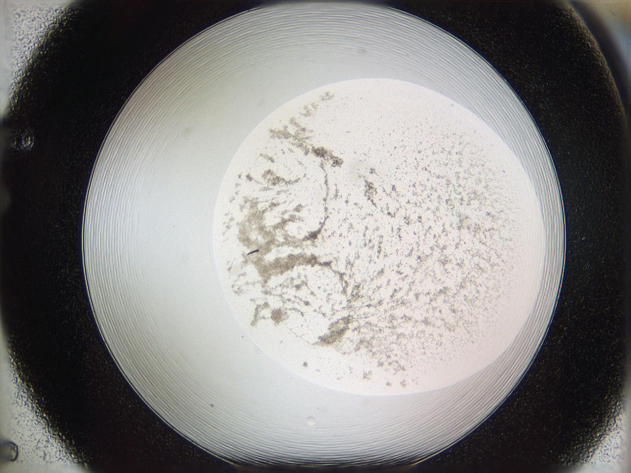 05w2_F5_ImagerDefaults_3.jpg