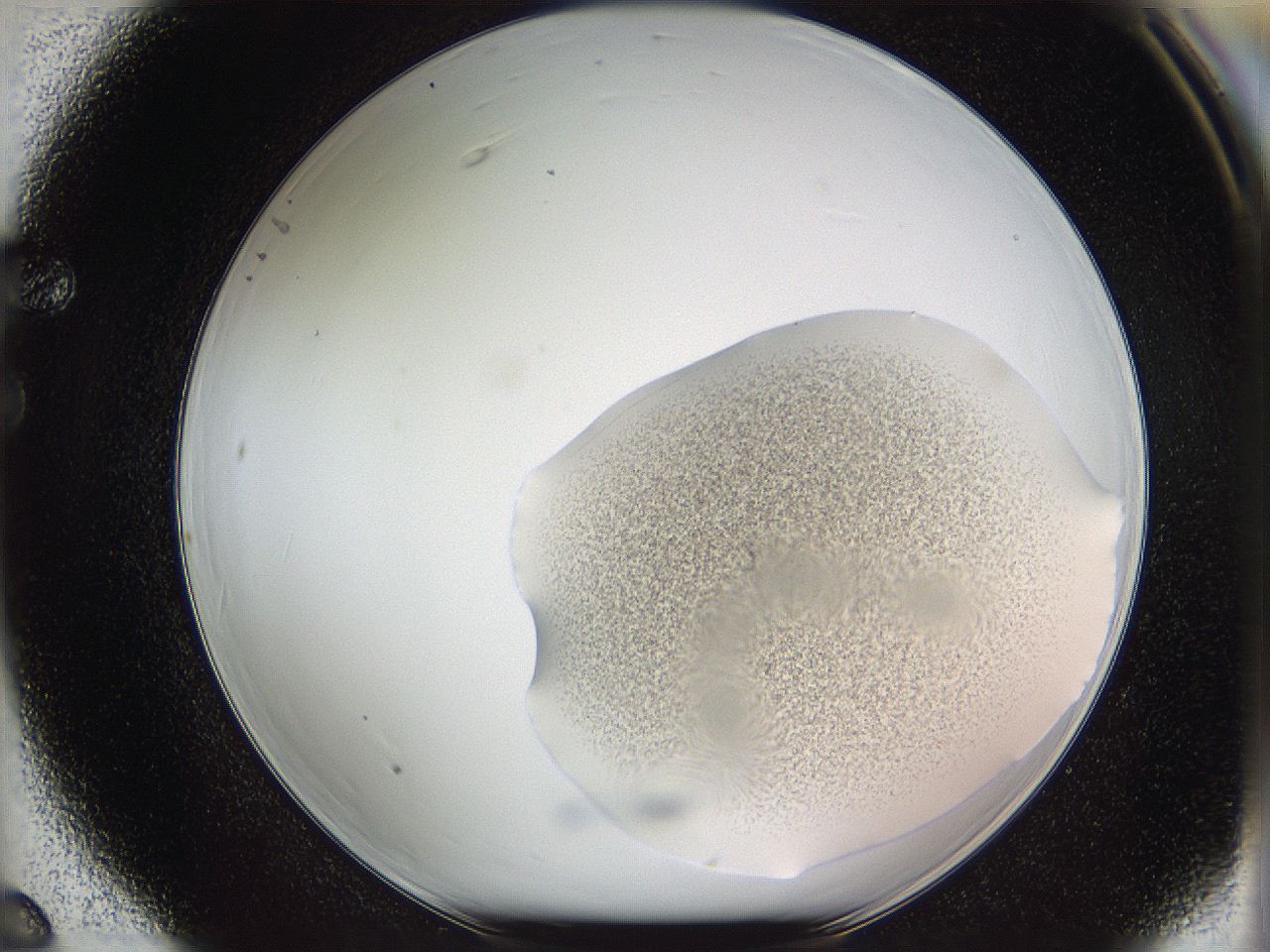 05w2_F6_ImagerDefaults_3.jpg