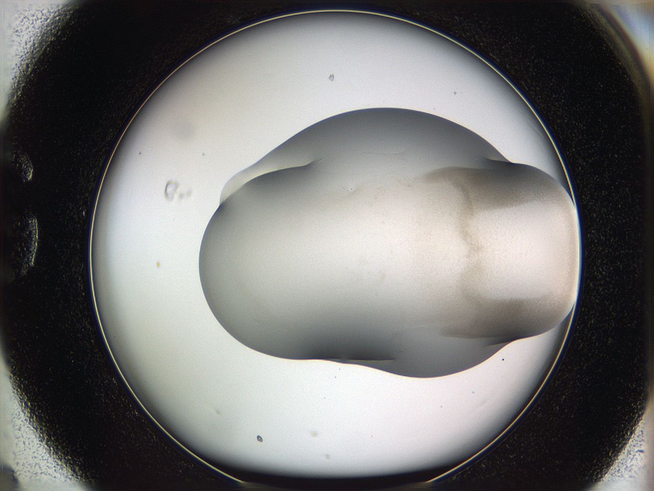05w2_G4_ImagerDefaults_3.jpg