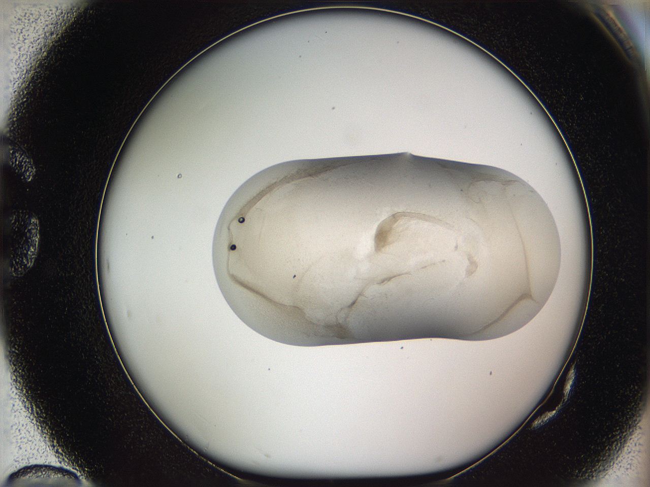 05w2_G10_ImagerDefaults_3.jpg