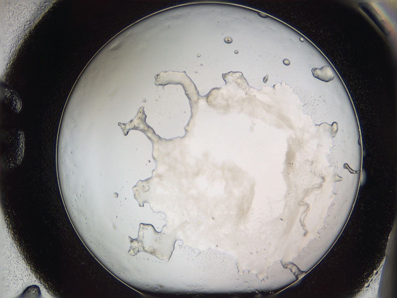 05w2_G11_ImagerDefaults_3.jpg