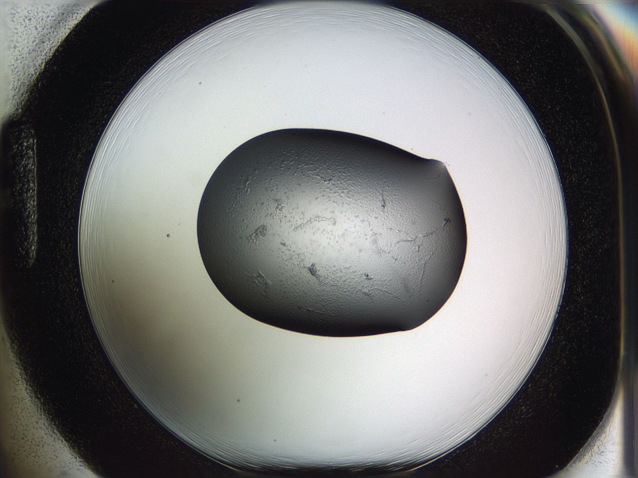 05w2_H1_ImagerDefaults_2.jpg