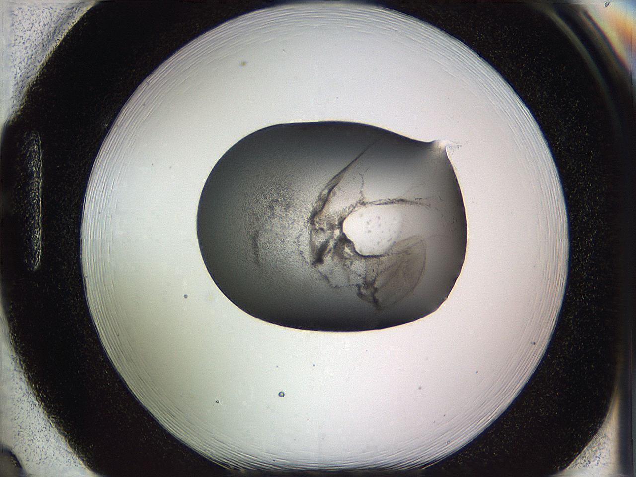 05w2_H2_ImagerDefaults_3.jpg