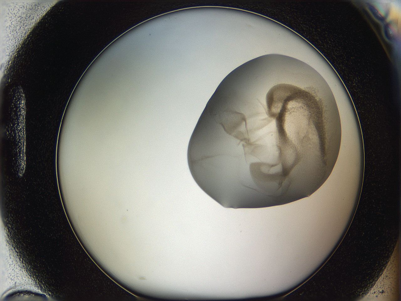 05w2_H10_ImagerDefaults_3.jpg