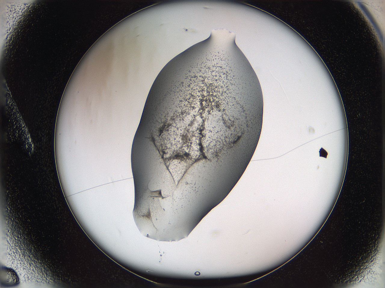 05w3_A6_ImagerDefaults_3.jpg