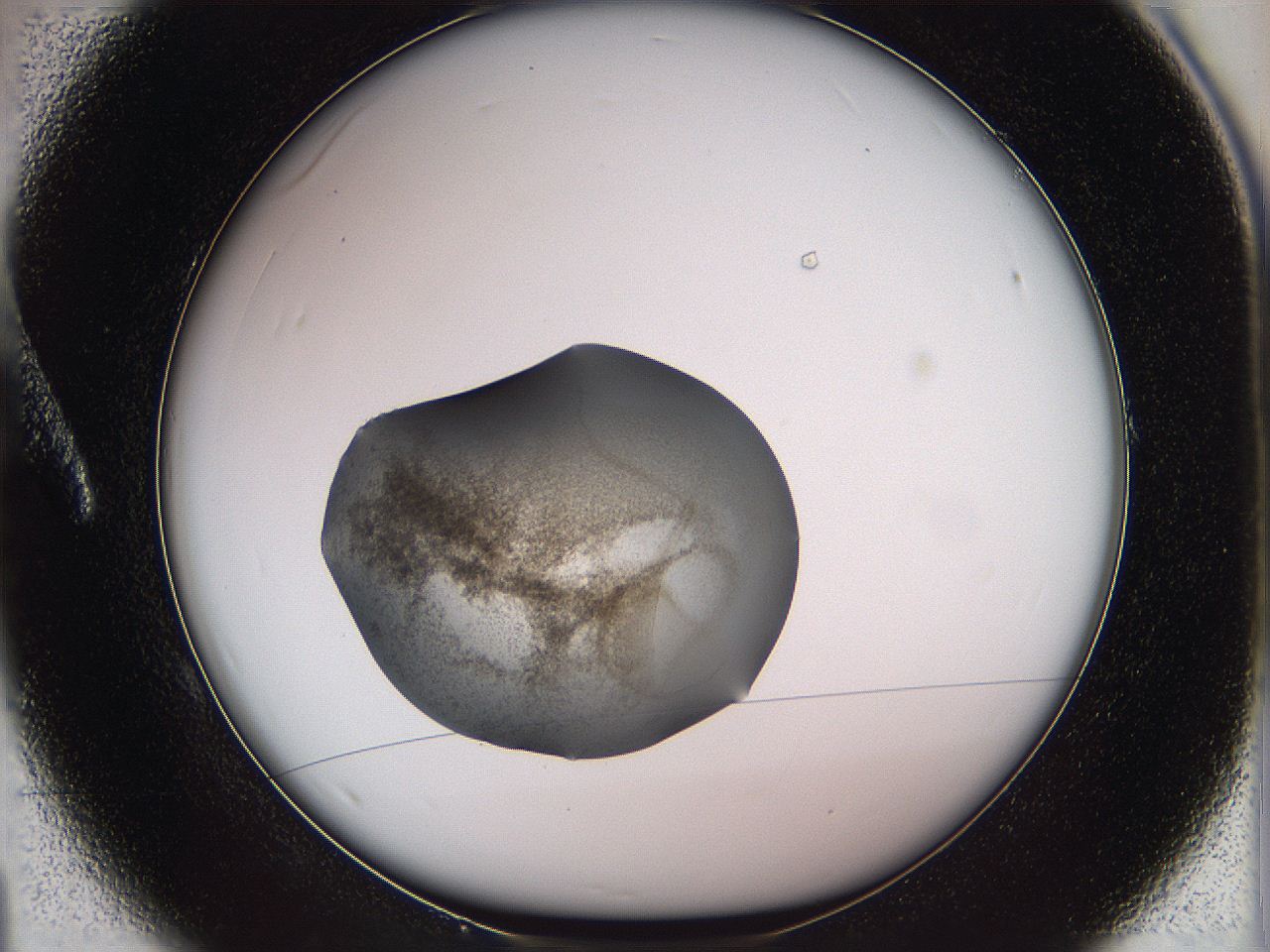 05w3_A1_ImagerDefaults_3.jpg
