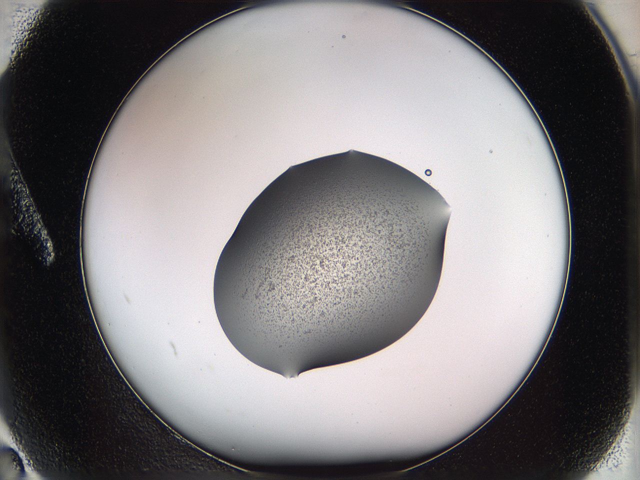 05w3_A2_ImagerDefaults_3.jpg