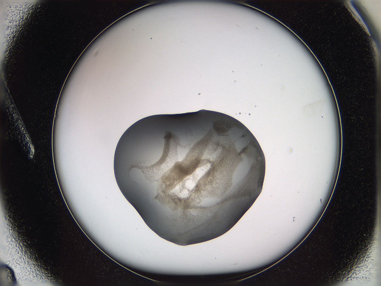 05w3_A3_ImagerDefaults_3.jpg