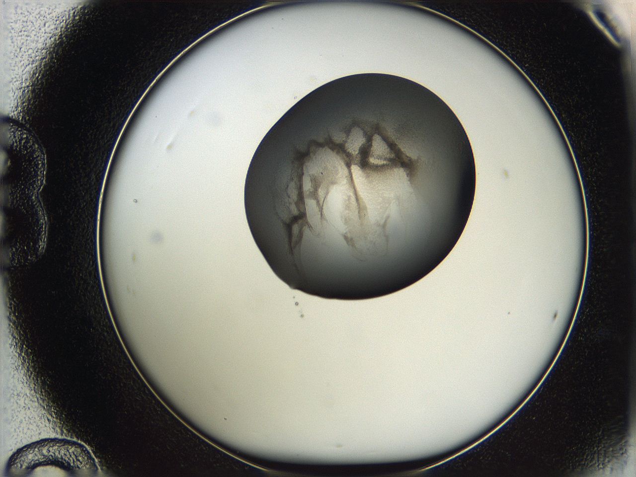 05w3_B12_ImagerDefaults_3.jpg