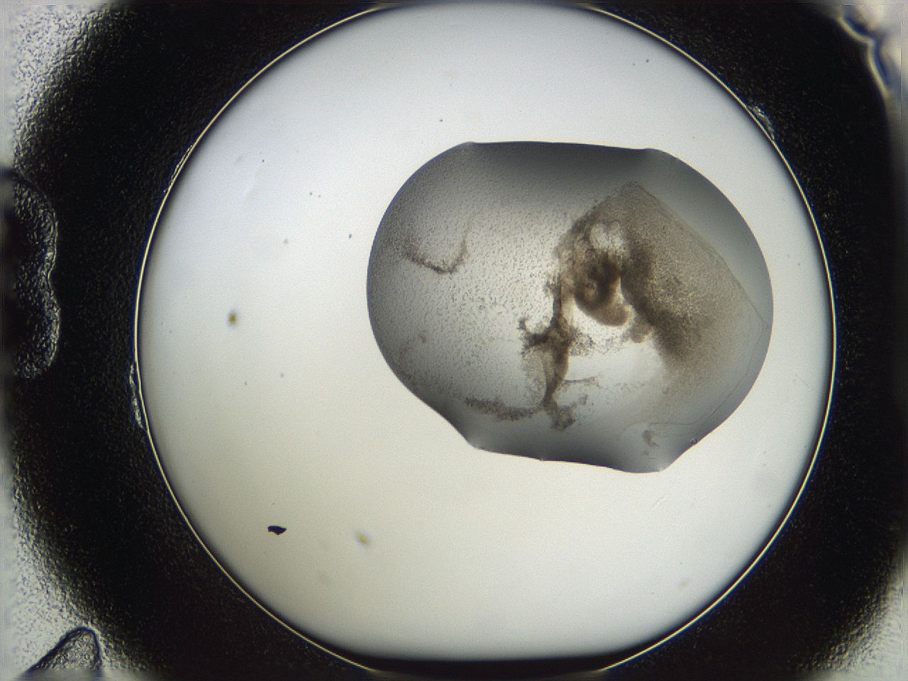 05w3_B11_ImagerDefaults_3.jpg