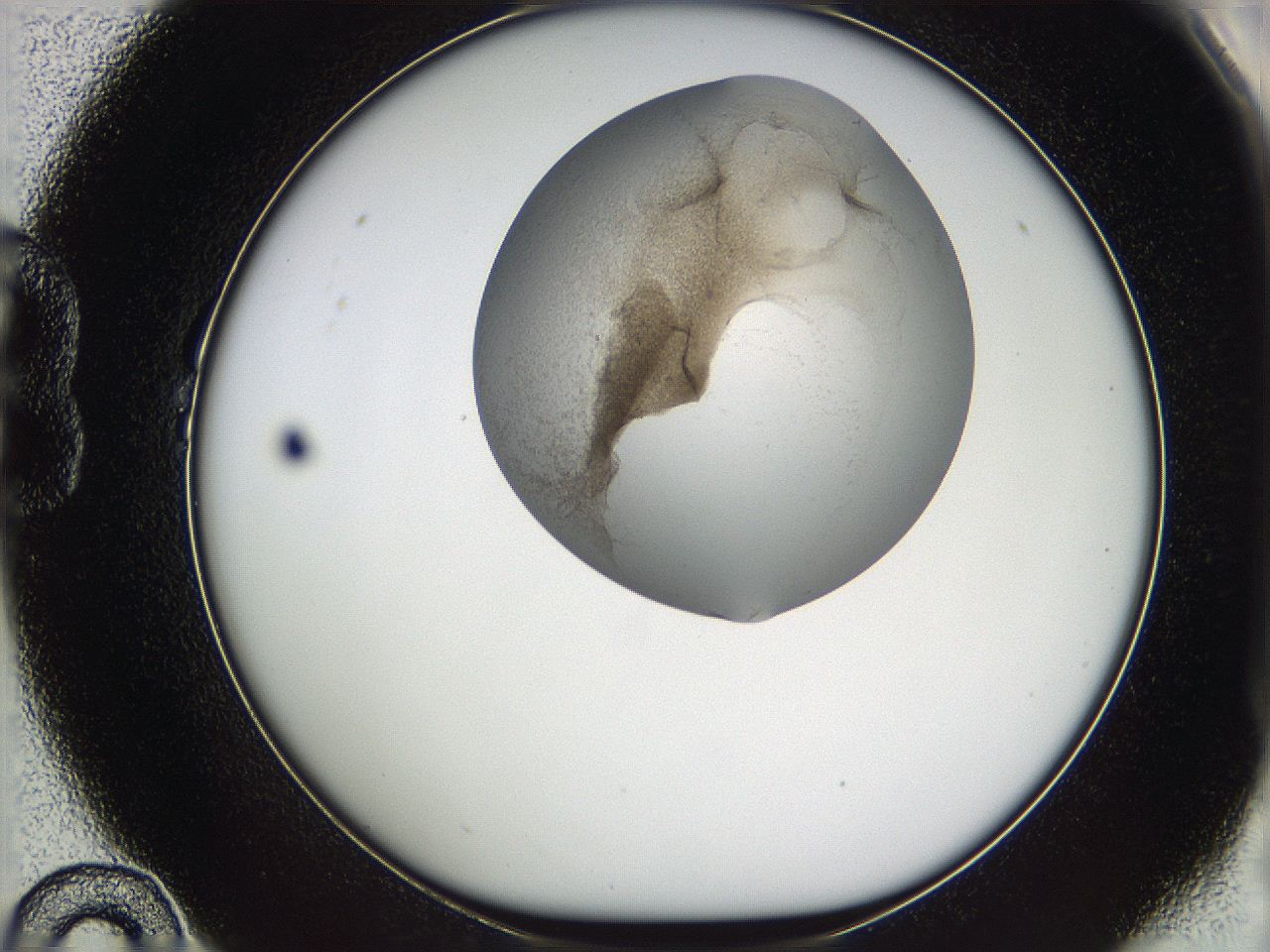 05w3_B10_ImagerDefaults_3.jpg
