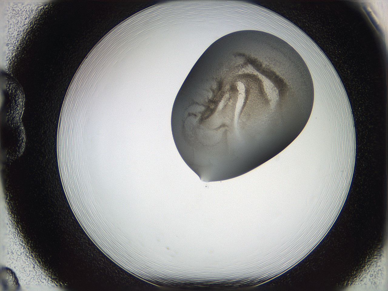05w3_B8_ImagerDefaults_3.jpg