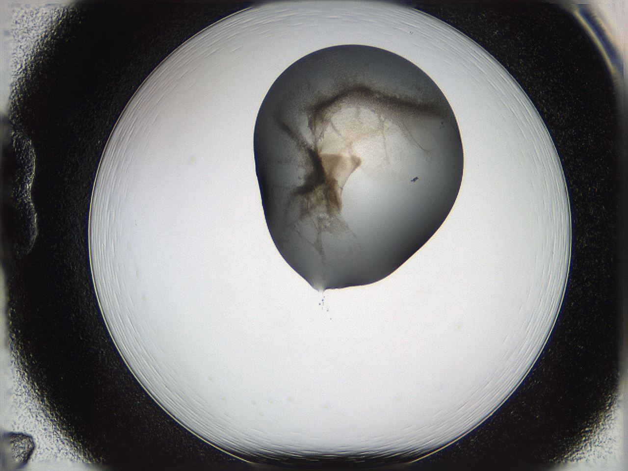 05w3_B7_ImagerDefaults_3.jpg