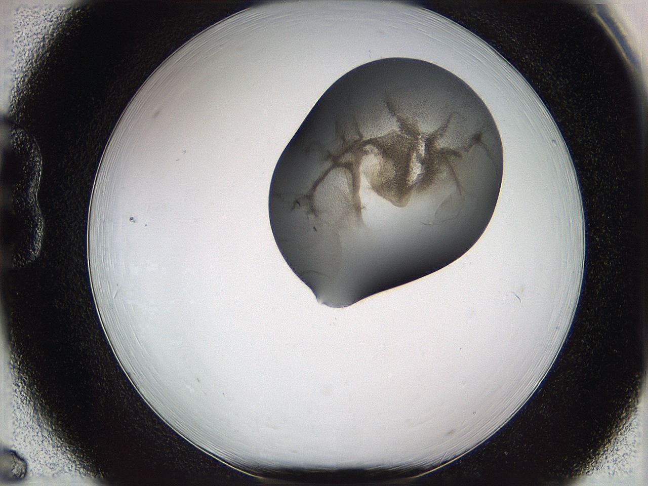 05w3_B6_ImagerDefaults_3.jpg