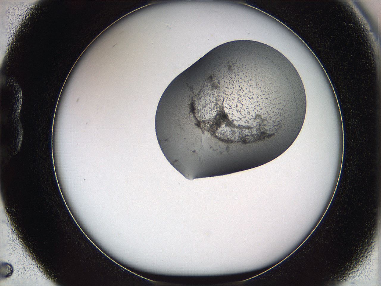 05w3_B5_ImagerDefaults_3.jpg