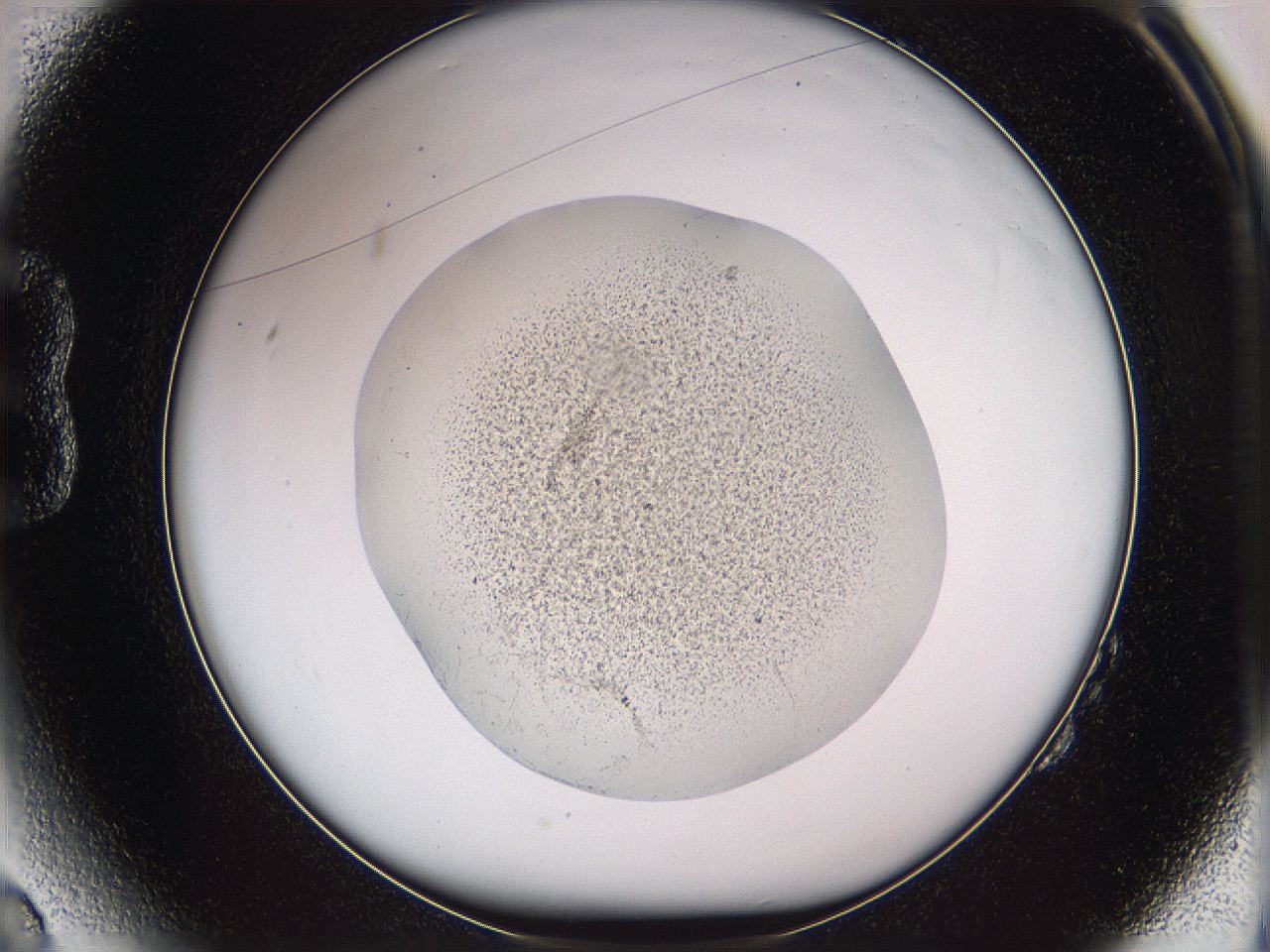 05w3_B2_ImagerDefaults_3.jpg