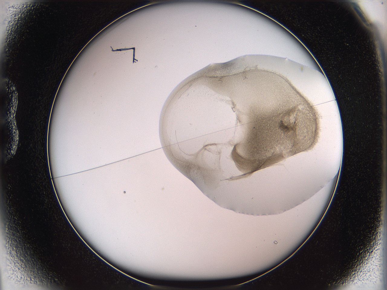 05w3_B1_ImagerDefaults_3.jpg
