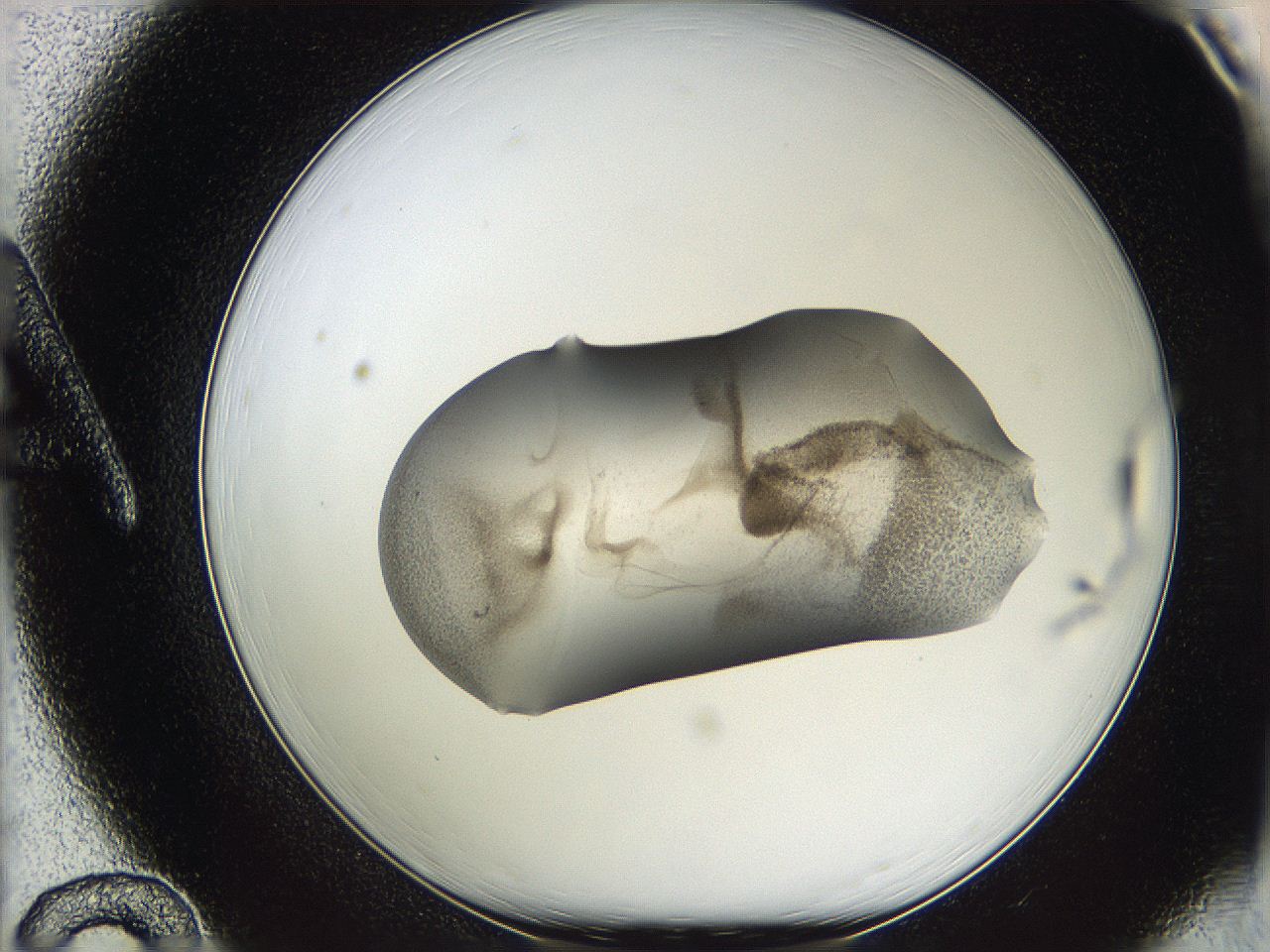 05w3_A12_ImagerDefaults_3.jpg