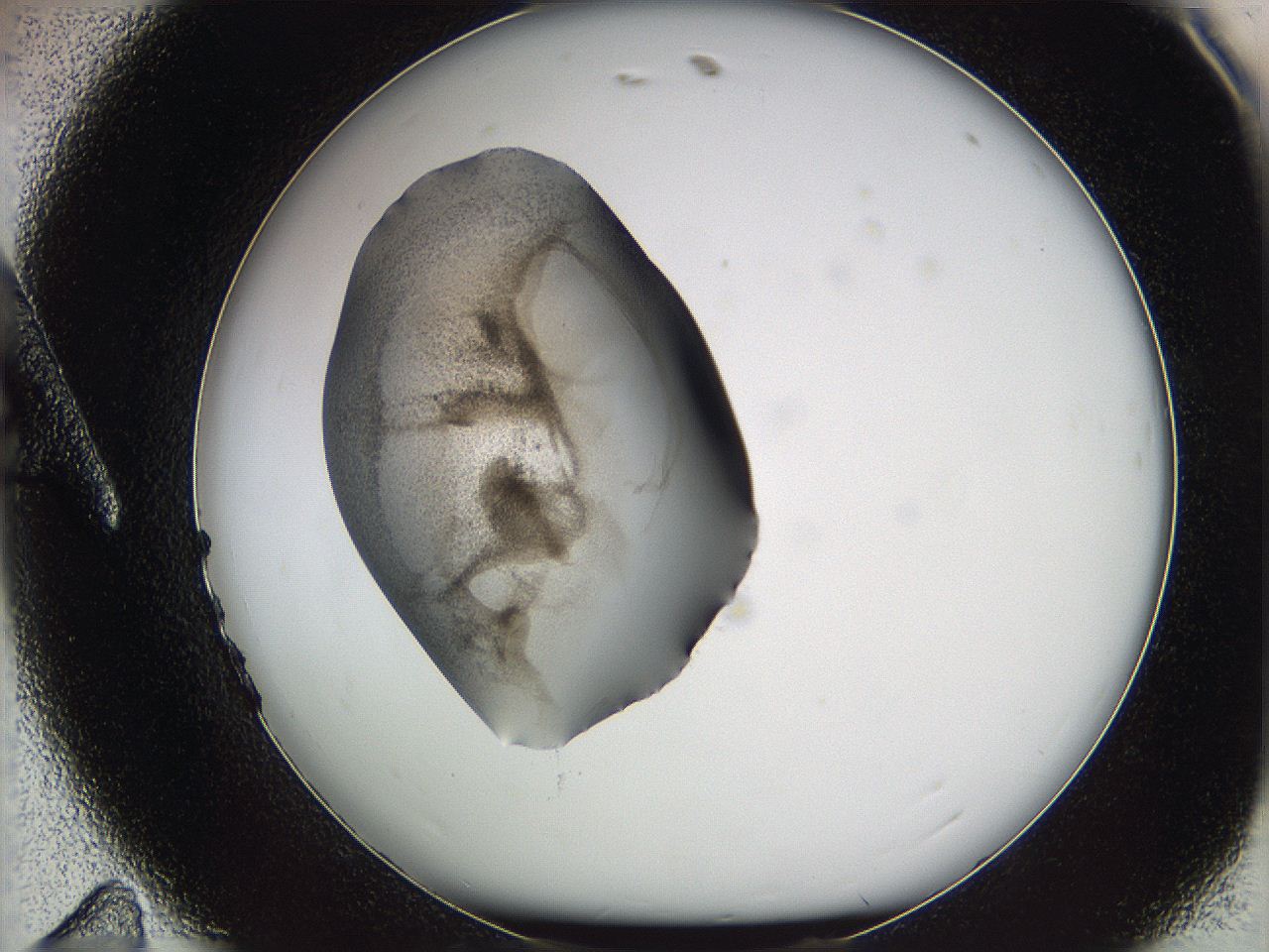 05w3_A11_ImagerDefaults_3.jpg